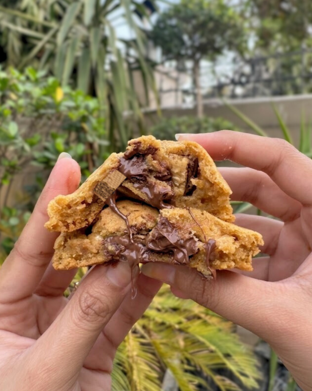 Wafer Bomb Cookies Box
