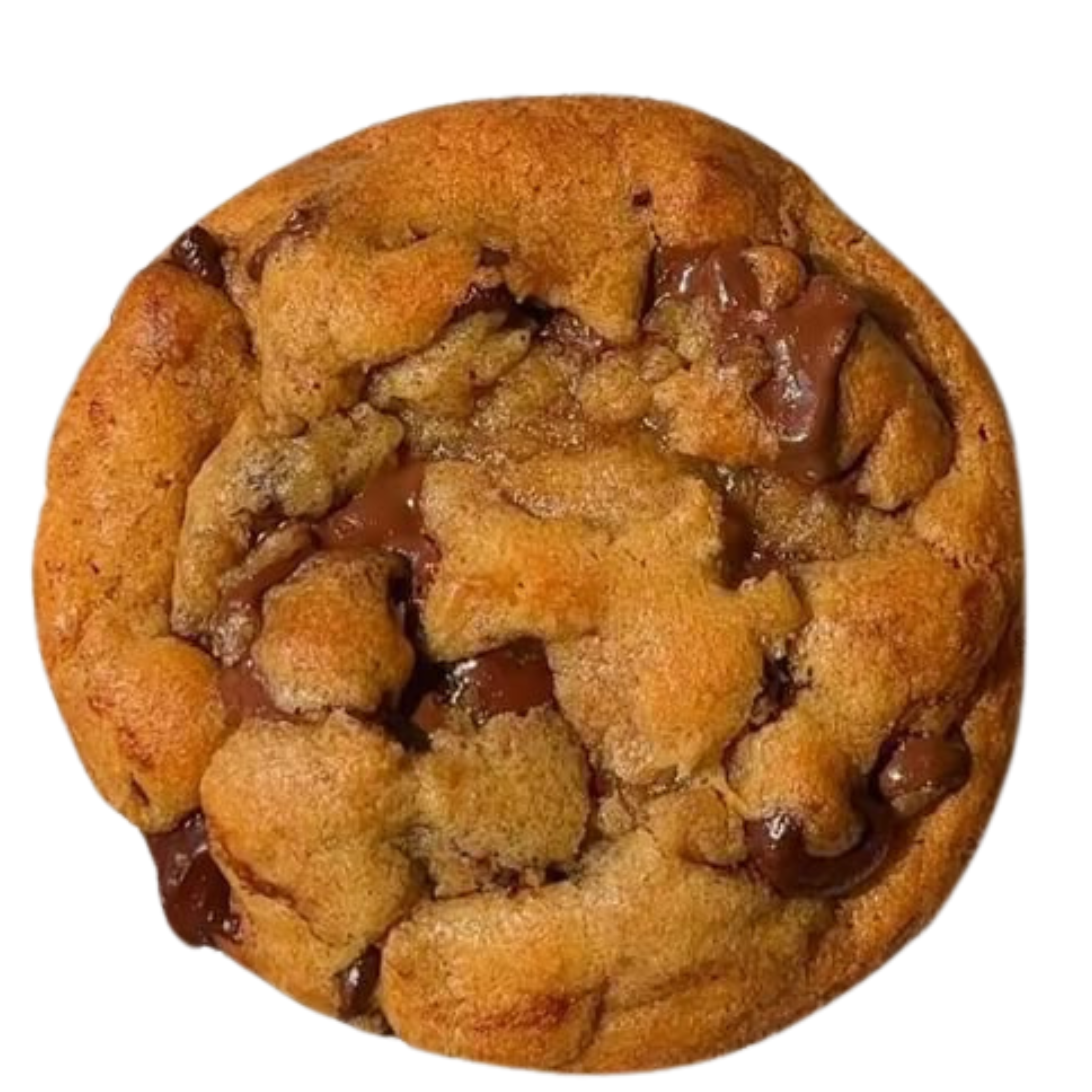 Chocolate Chip Cookie