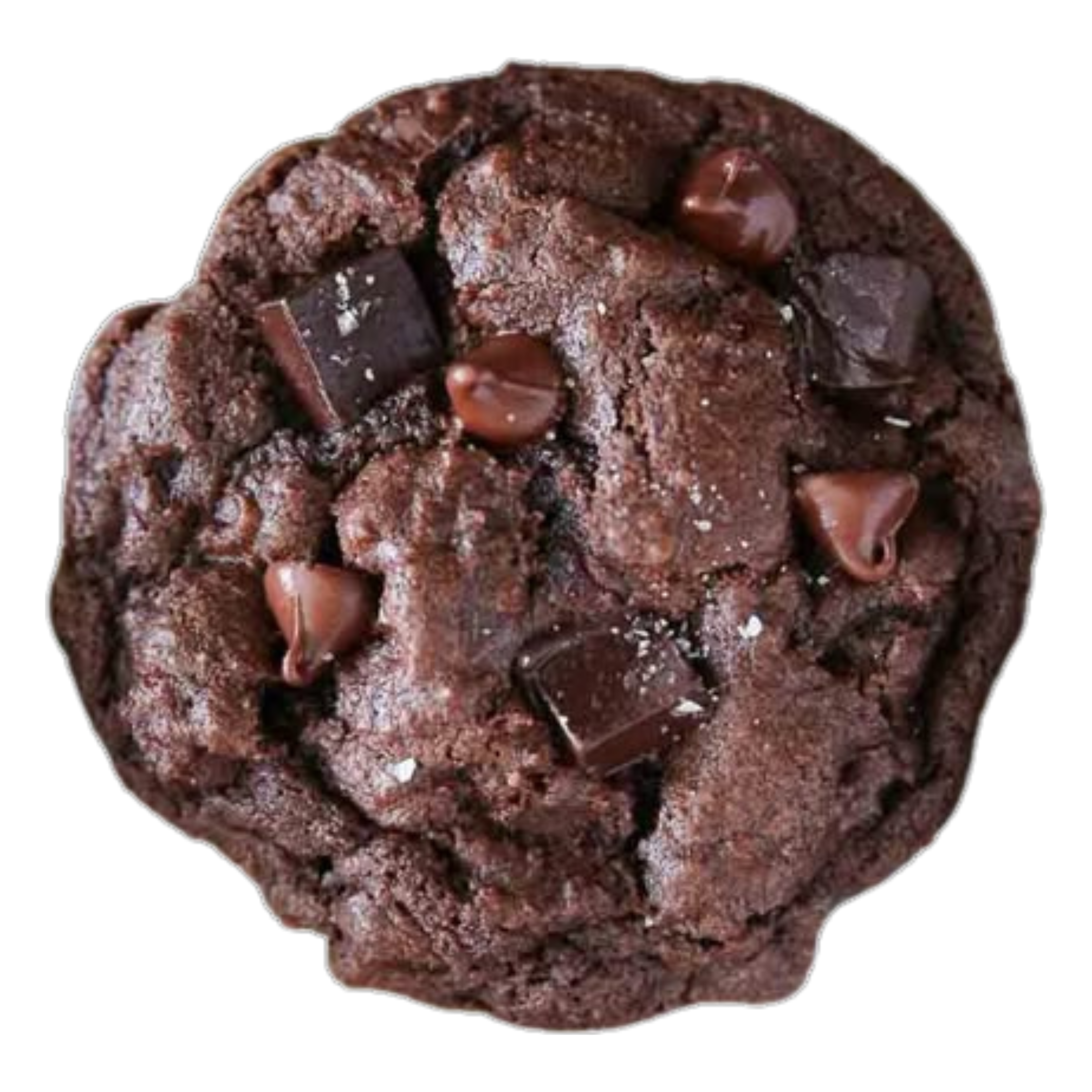 Double Chocolate Chip Cookie